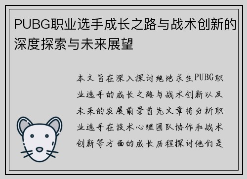 PUBG职业选手成长之路与战术创新的深度探索与未来展望