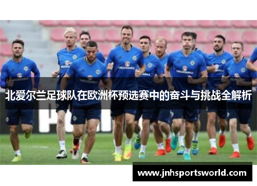北爱尔兰足球队在欧洲杯预选赛中的奋斗与挑战全解析