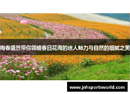梅春盛景带你领略春日花海的迷人魅力与自然的细腻之美